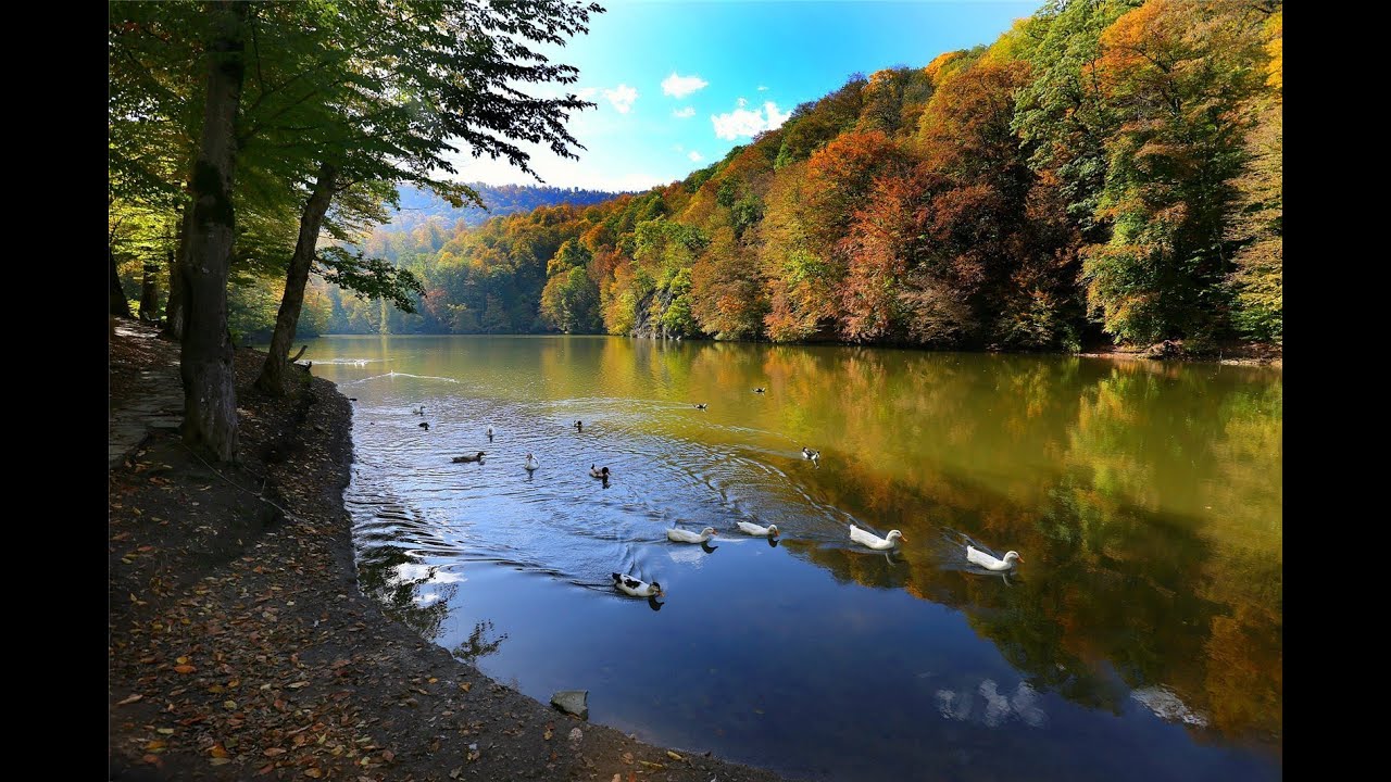Դիլիջանի ազգային պարկ